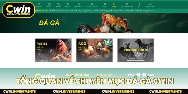 Tổng quan về chuyên mục đá gà CWIN